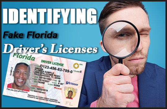 /media/13ffdsll/ed-vid_driver-license_ortv.png