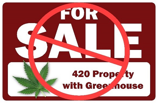 /media/gpcn3l2n/cannabis-resize.jpg