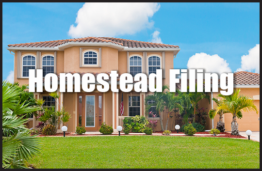 /media/i5ohj0zx/homestead-filing-thumb.png