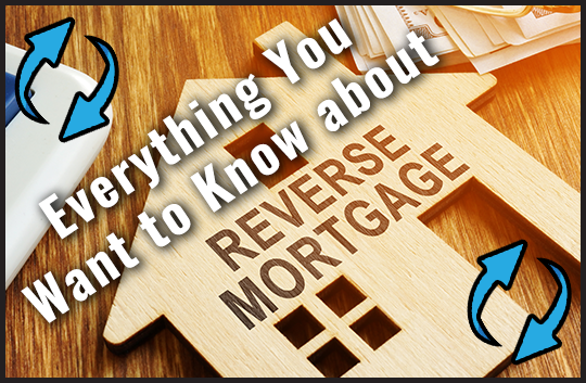 /media/vflddmpp/ed-vid_reverse-mortgages_ortv.png
